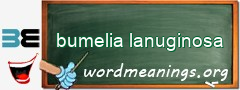 WordMeaning blackboard for bumelia lanuginosa